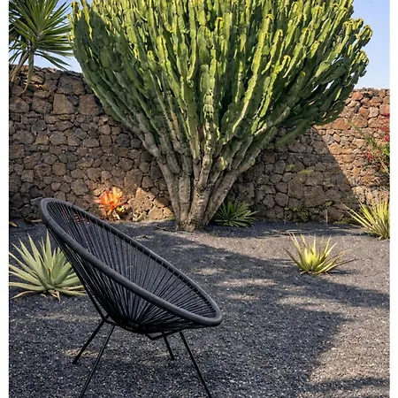 Infinity Exclusive *