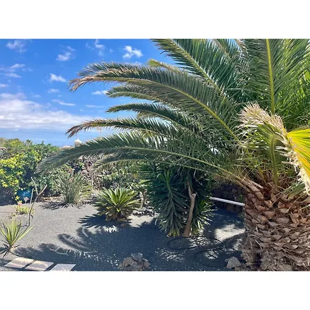 Infinity Exclusive * Tias