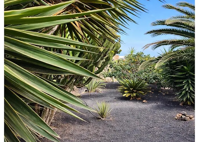 Infinity Exclusive Вилла